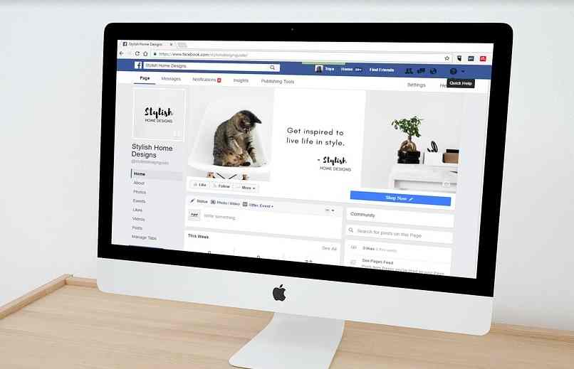 digital marketing specialist