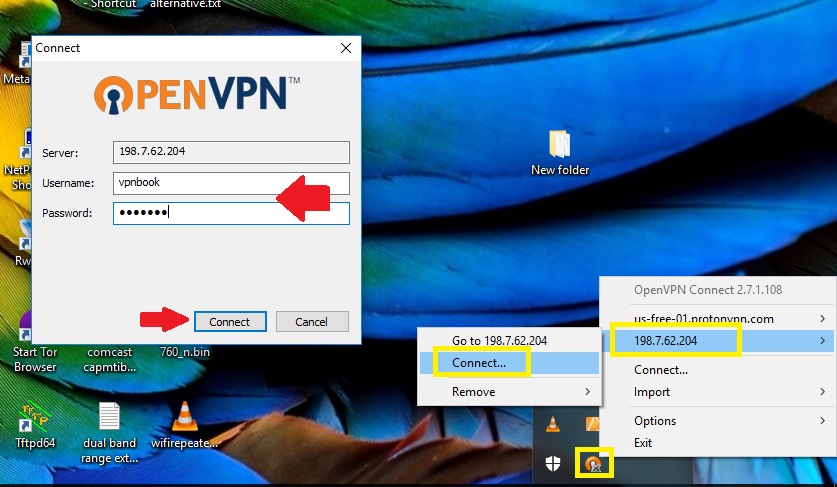 OpenVPN Access Server Free Connections